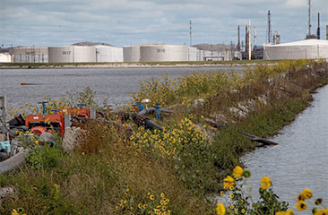 The CDF cells isolate and contain dredged material. An interior dike (shown here) divides the CDF into two cells, an east cell and west cell, approximately 45 acres each.